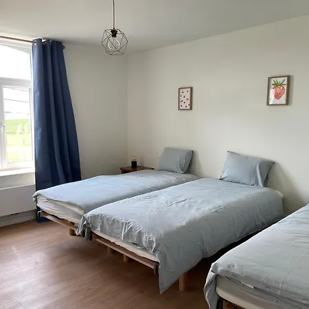 La Ruche - Maison De 10 A 15 Personnes - La Ferme Du Try Holiday home Frasnes-lez-Gosselies